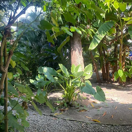 Casa Malinalli