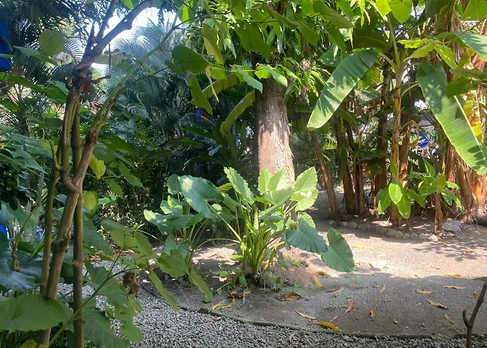 Apartahotel Casa Malinalli *